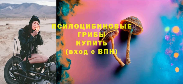 хмурый Кулебаки