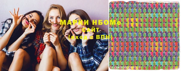 дмт Елизово