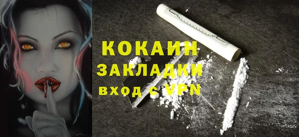 дмт Елизово