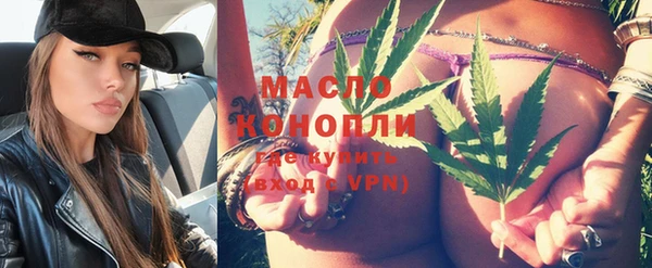 дмт Елизово