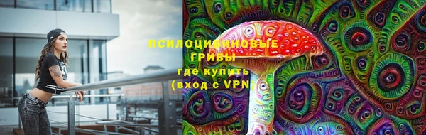 дмт Елизово