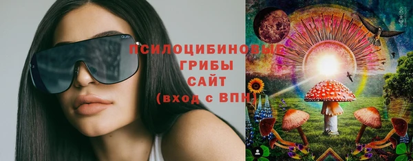 дмт Елизово