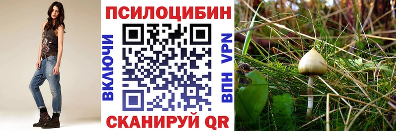 Галлюциногенные грибы Magic Shrooms  как найти наркотики  Конаково 