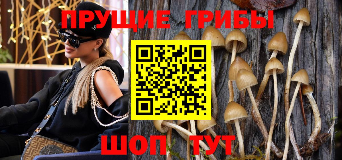 Конаково  Псилоцибиновые грибы прущие грибы  Вход с VPN 